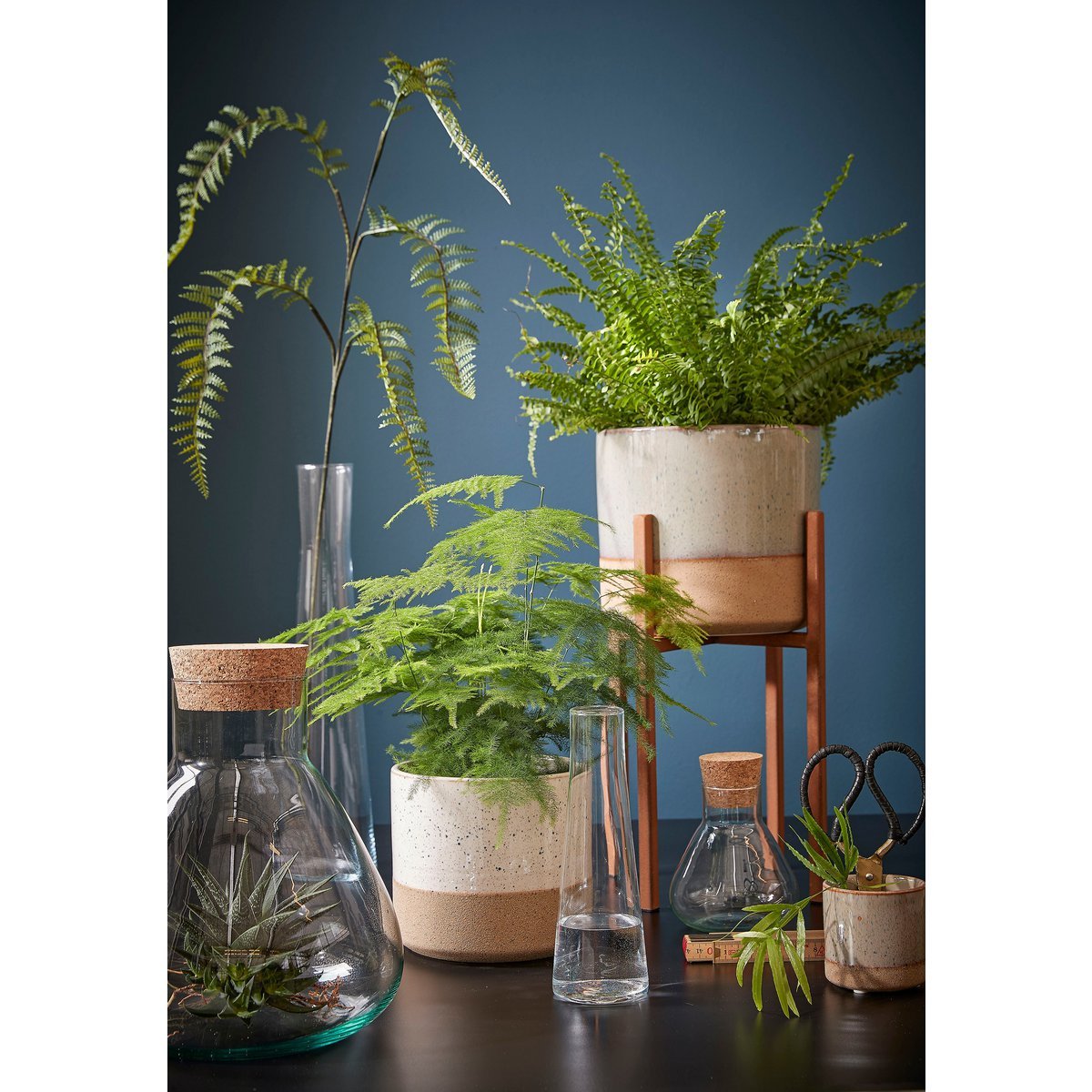 Emily Terrarium oder Vorratsdose – H32 x Ø29,5 cm – recyceltes Glas – transparent