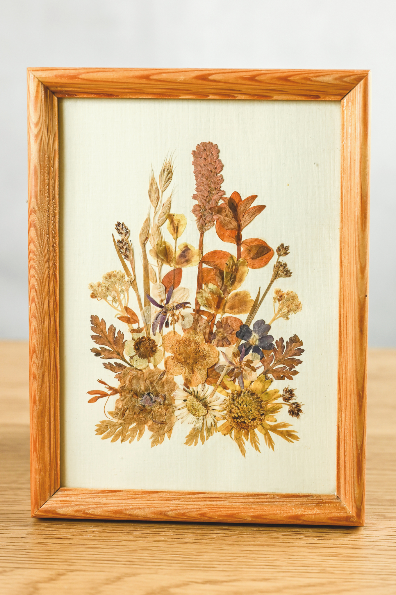 Trockenblumen im Bilderrahmen
