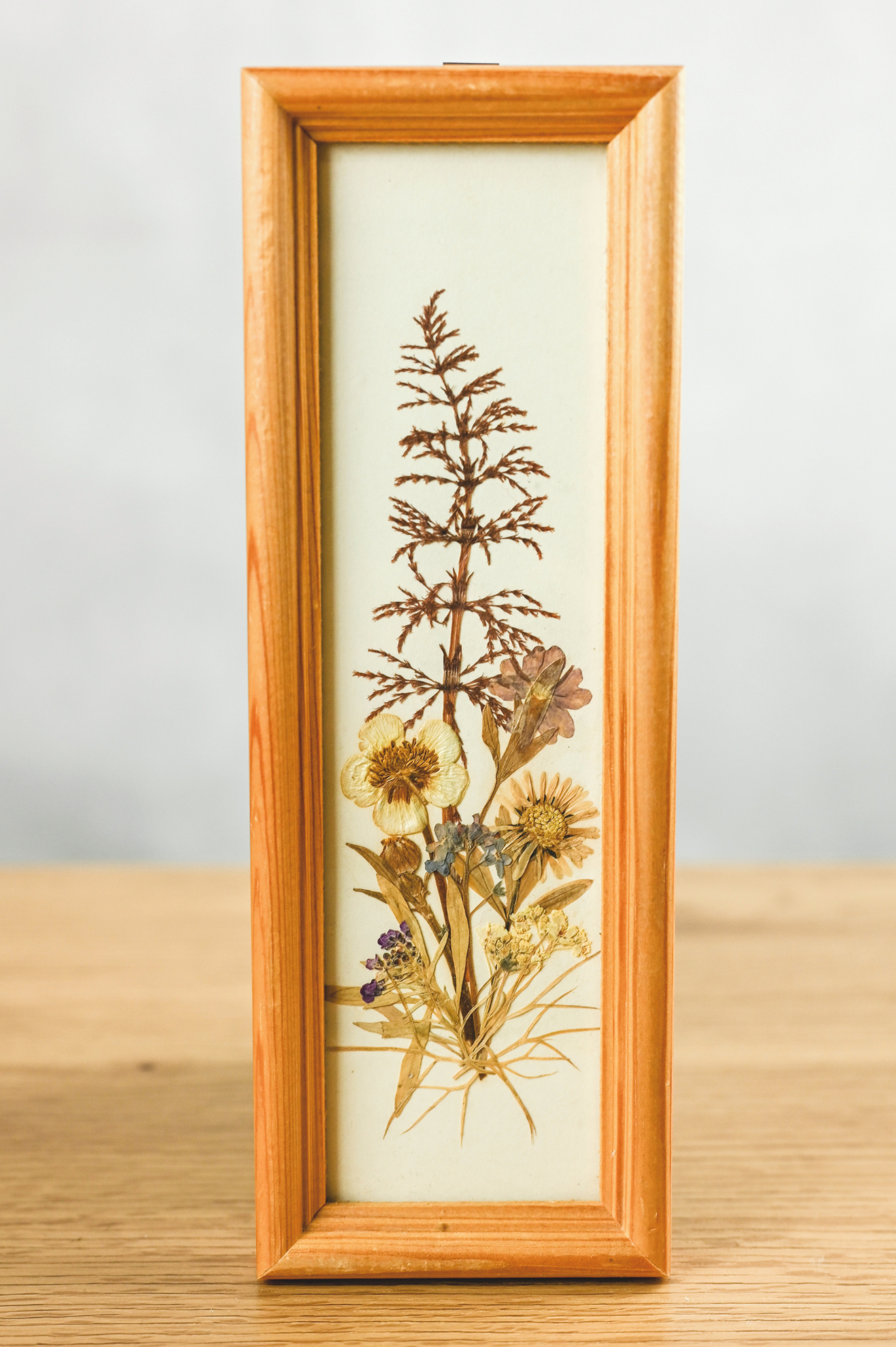 Trockenblumen im Bilderrahmen
