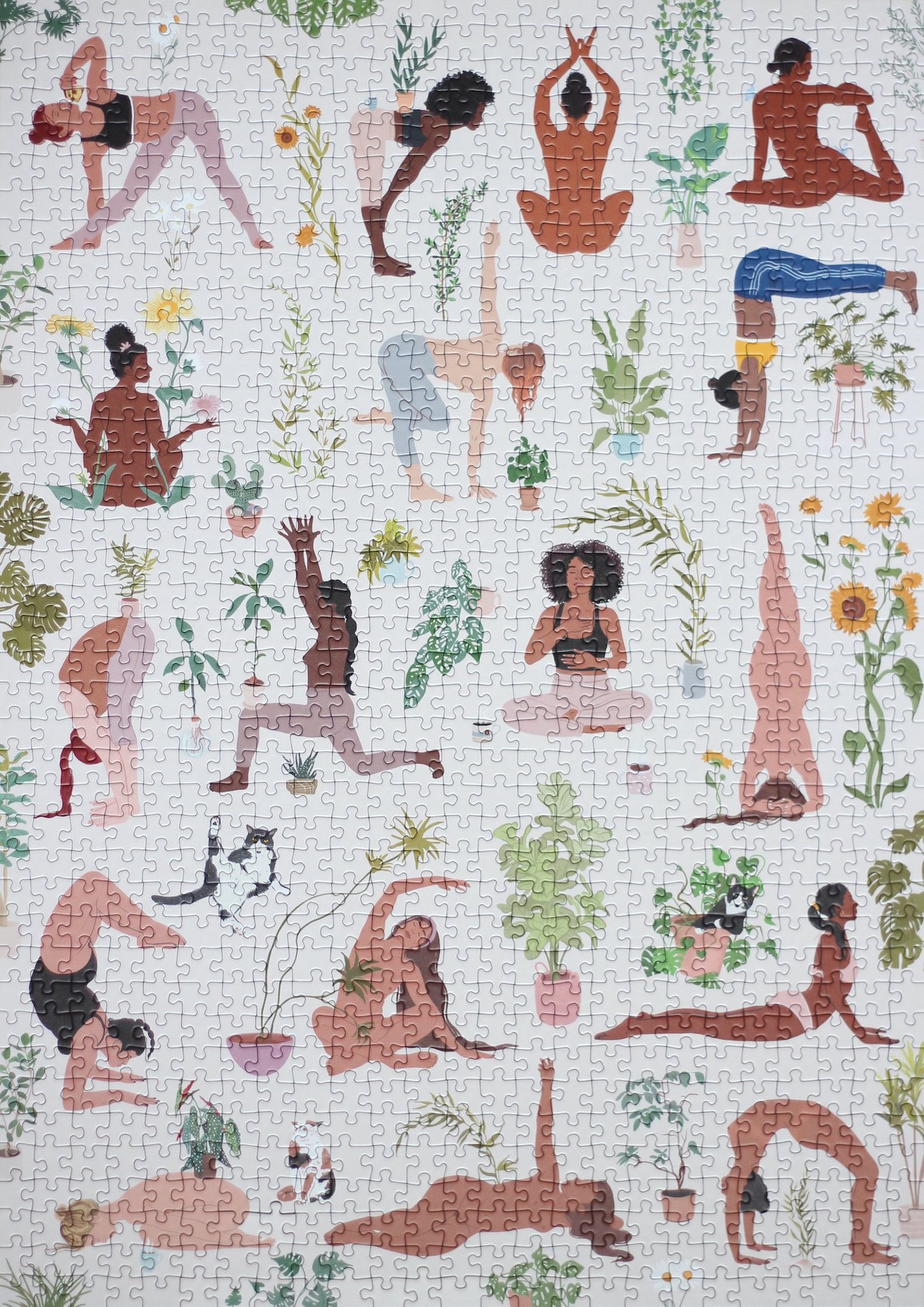 Puzzle Plant Yoga, 1000 Teile