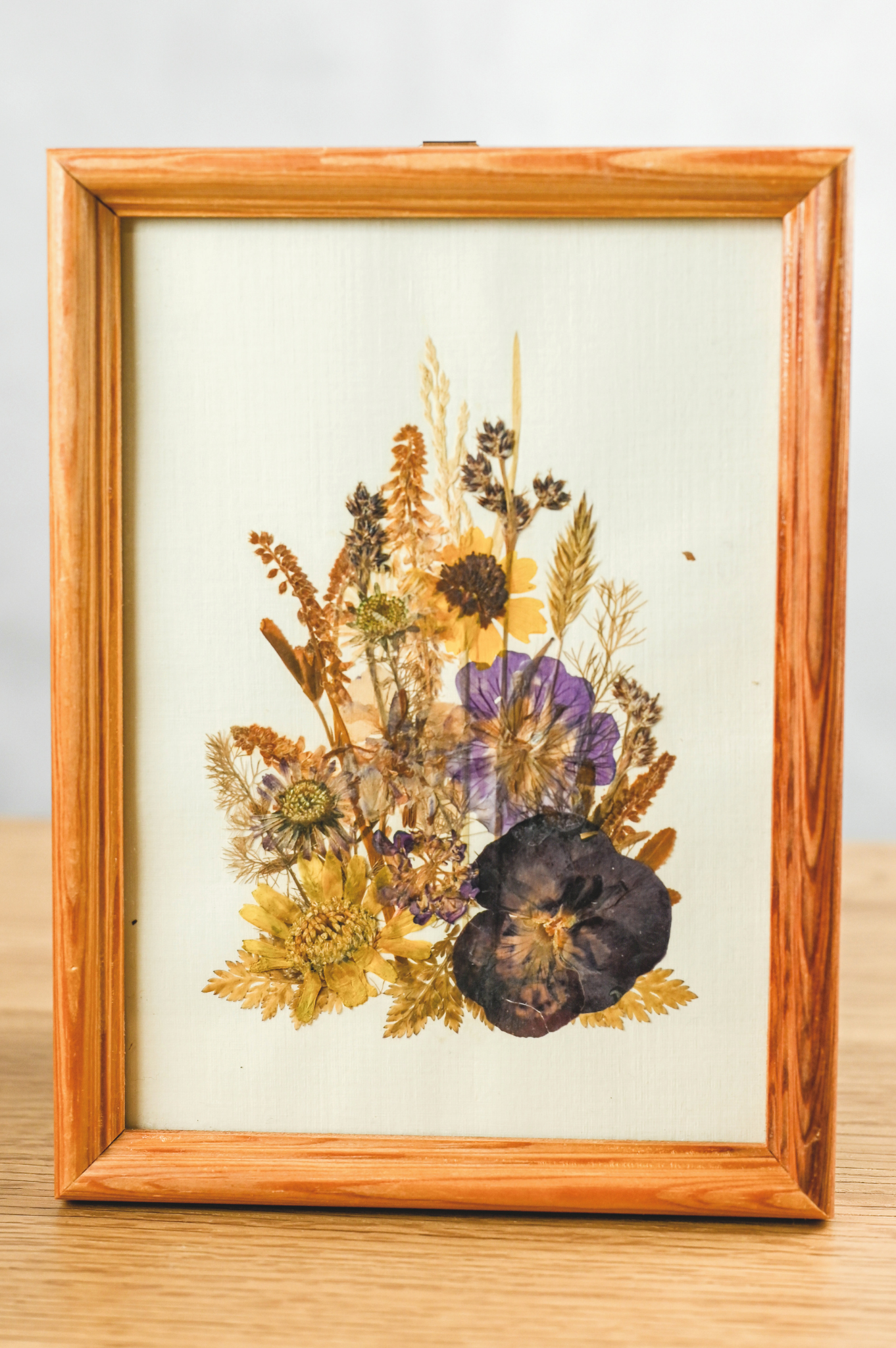 Trockenblumen im Bilderrahmen