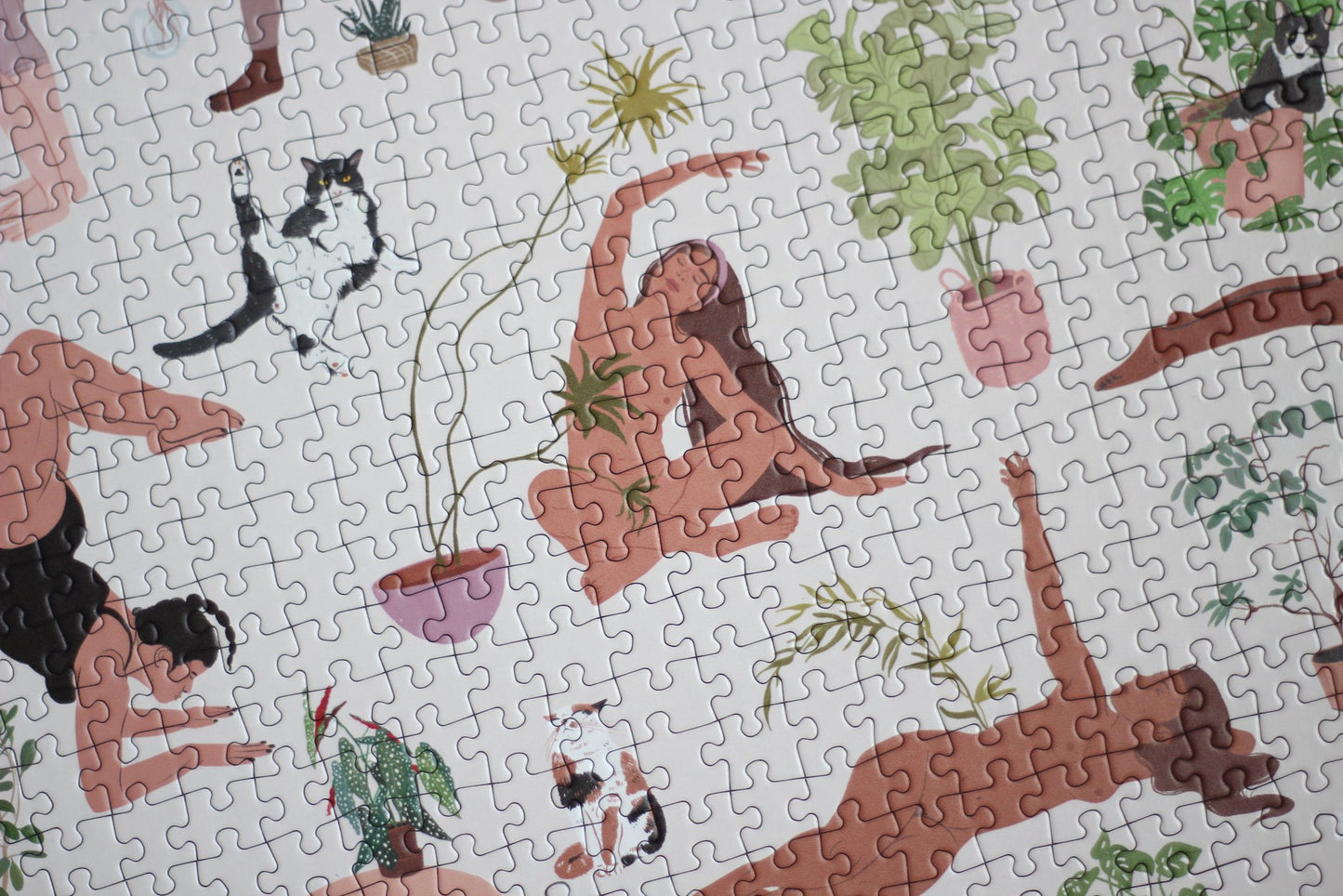 Puzzle Plant Yoga, 1000 Teile