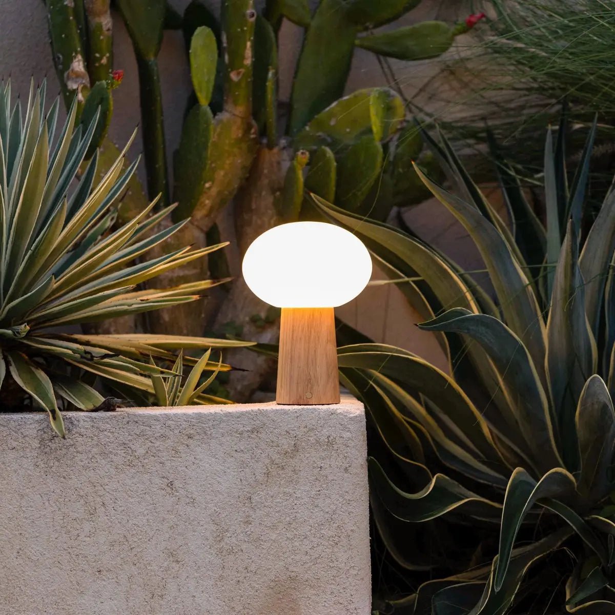 Kabellose Tischlampe Max aus Holz und Milchglas