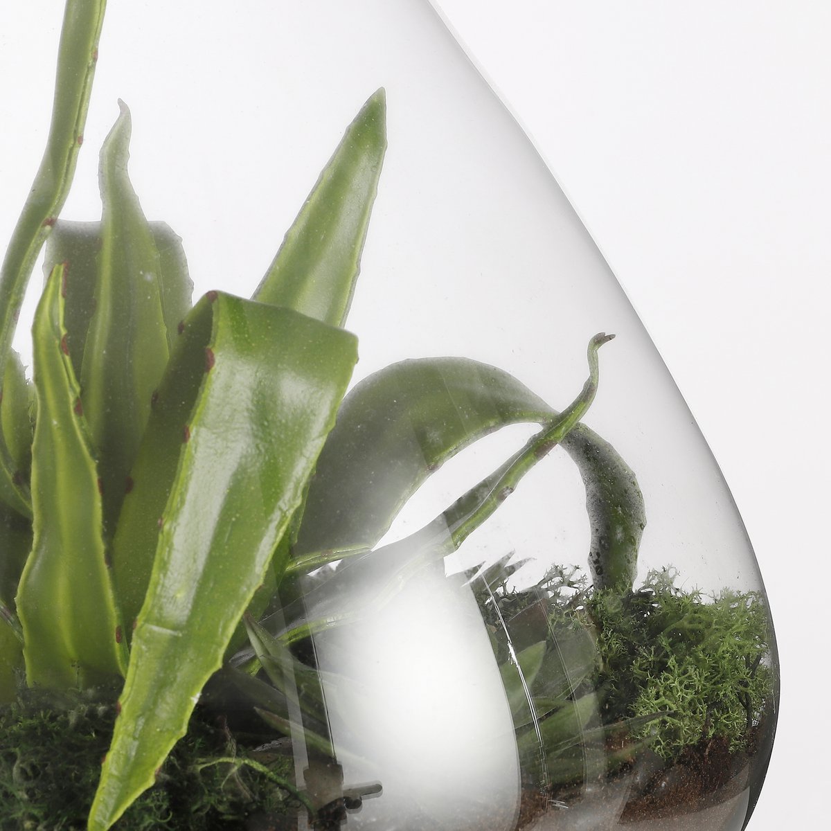 Emily Terrarium oder Vorratsdose – H32 x Ø29,5 cm – recyceltes Glas – transparent